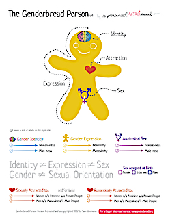 a yellow cartoon human figure with areas labeled: identity, attraction, expression, and sex