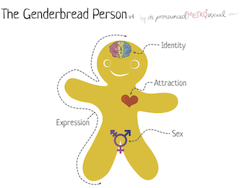 a yellow cartoon human figure with areas labeled: identity, attraction, expression, and sex