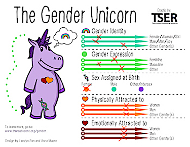 a cartoon unicorn figure with areas labeled: identity, attraction, expression, and sex assigned at birth