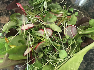 a salad garnished with microgreens