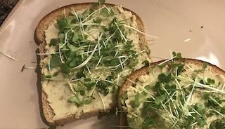 two pieces of hummus toast garnished with microgreens