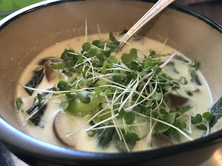 thai curry garnished with microgreens